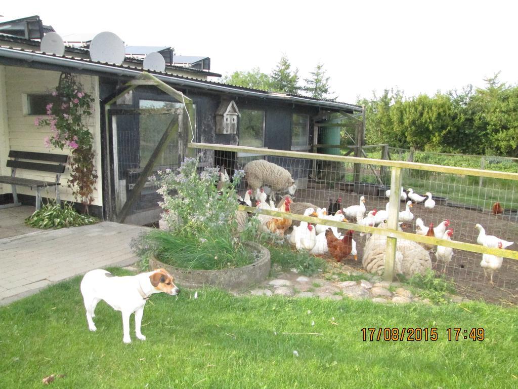 Bakkegarden Homestay Spottrup Екстер'єр фото